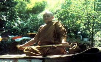 Chuối có độc